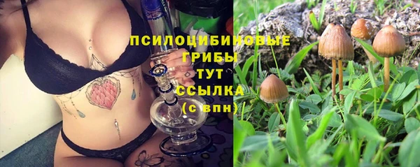 ешки Пролетарск