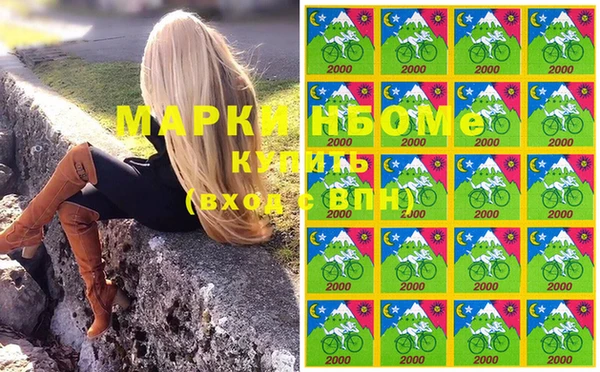 СК Покров