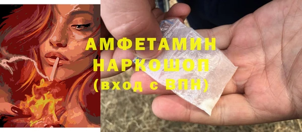 гидра Шадринск